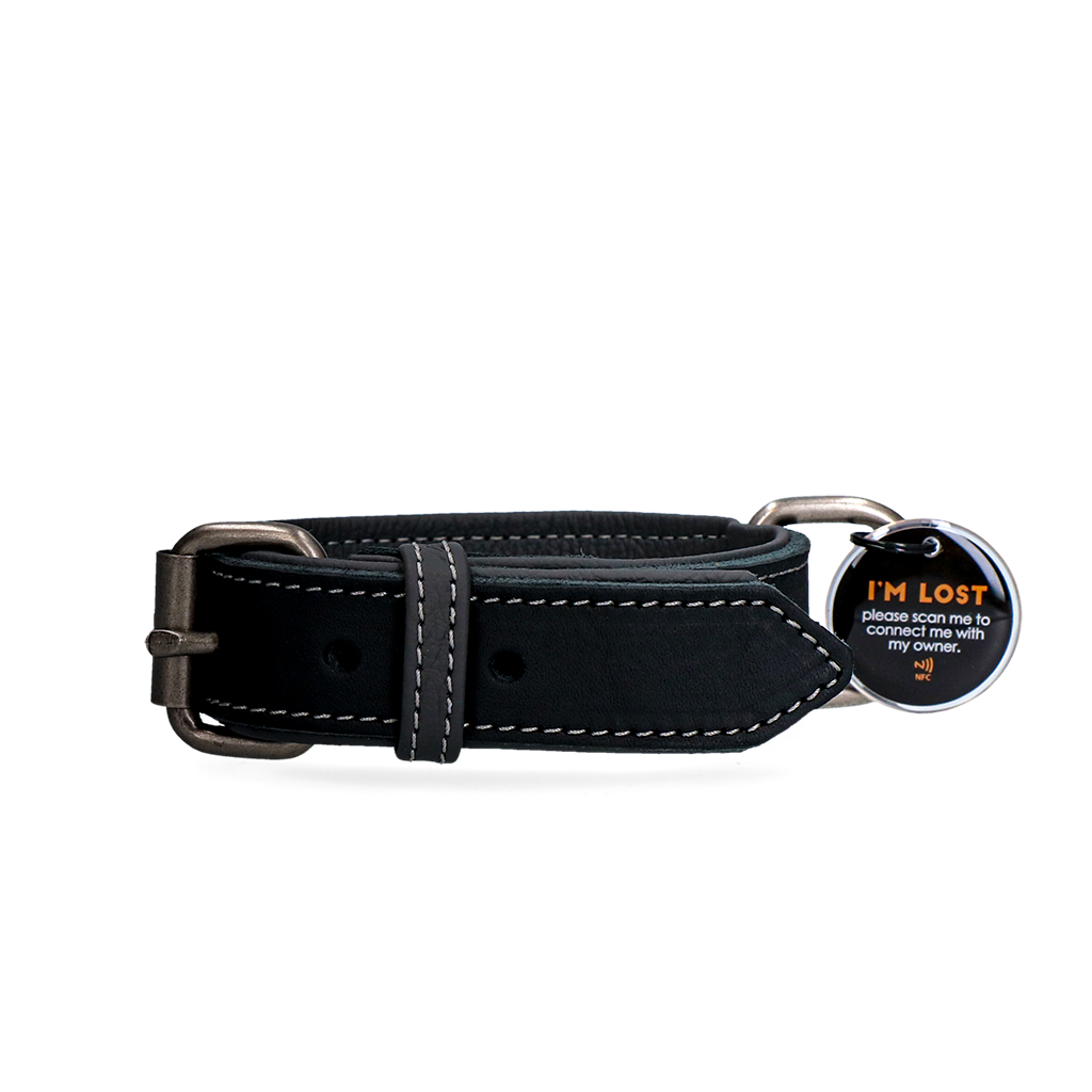 Spotted! Pro Lederhalsband Schwarz 2,5 x 50 cm
