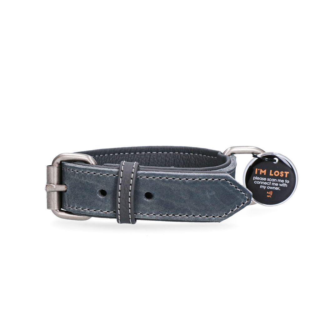 Spotted! Pro Lederhalsband Grau 2,5 x 45 cm