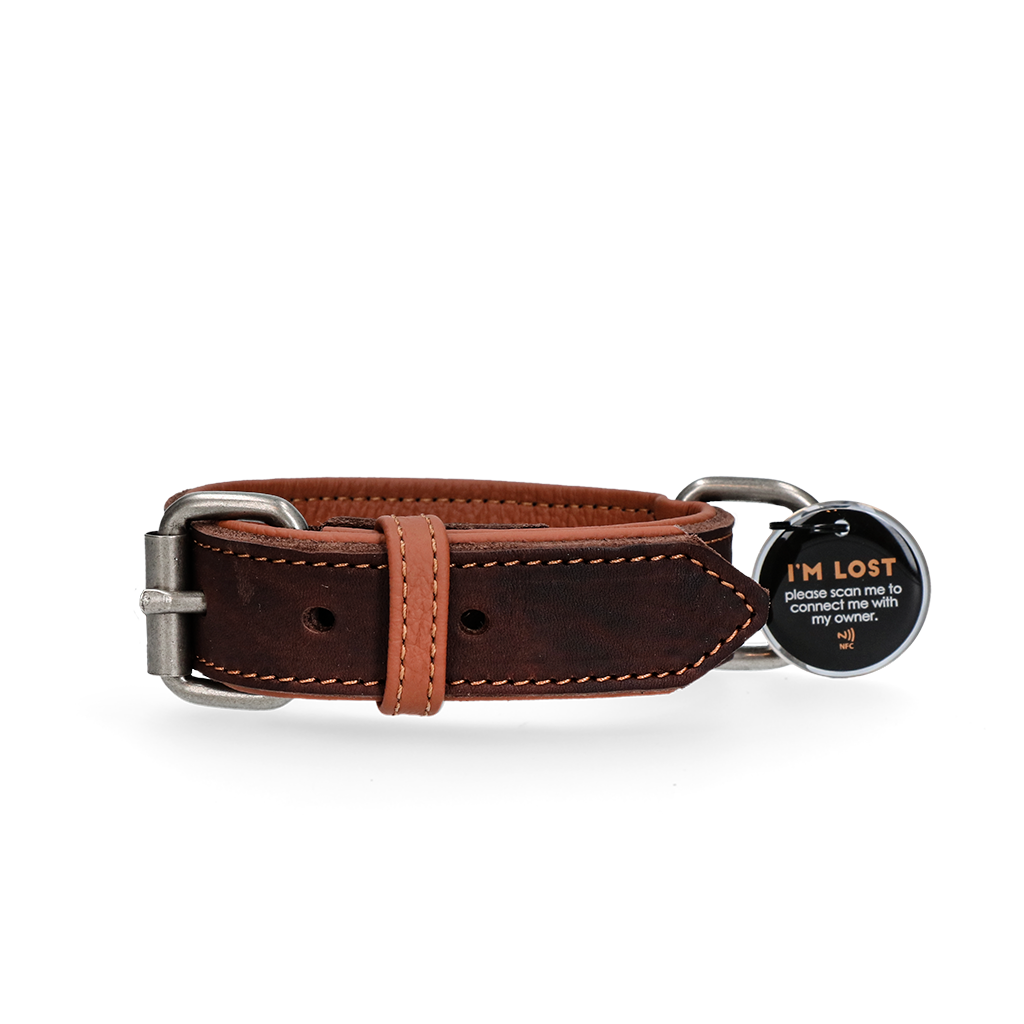 Spotted! Pro Lederhalsband Braun 3 x 65 cm