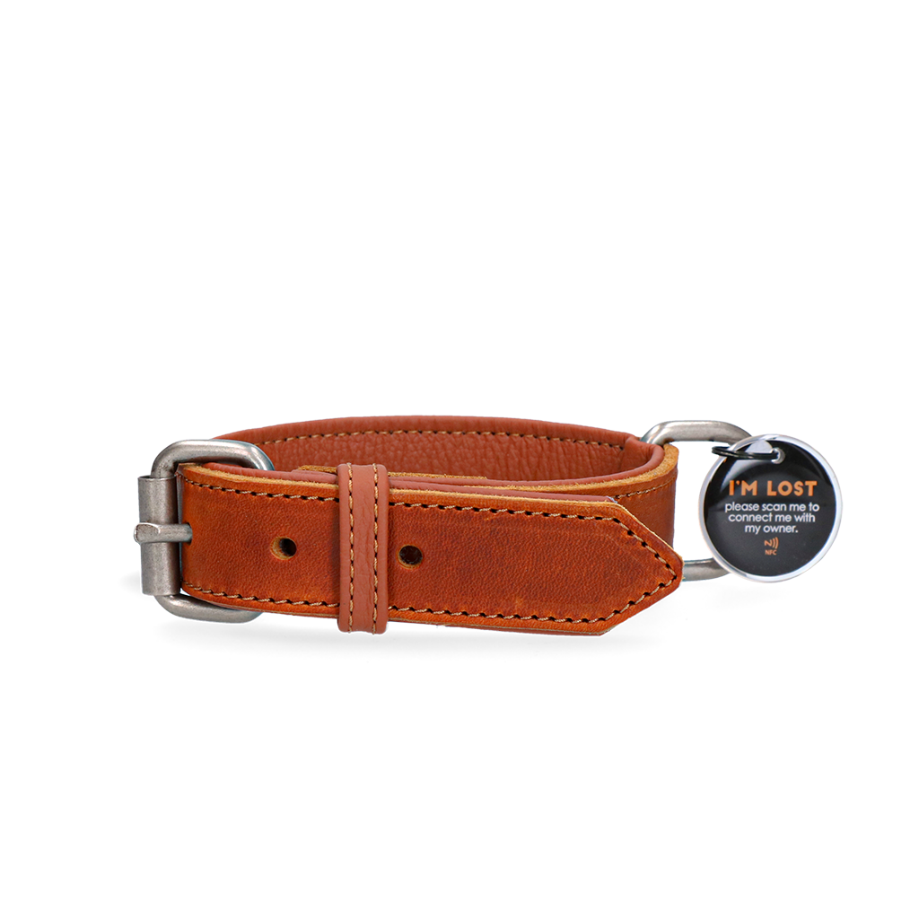 Spotted! Pro Lederhalsband Cognac 2,5 x 45 cm