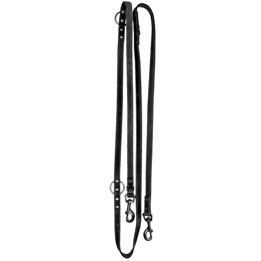 Spotted! Pro Leder Trainingsleine Schwarz 1,6 x 250 cm