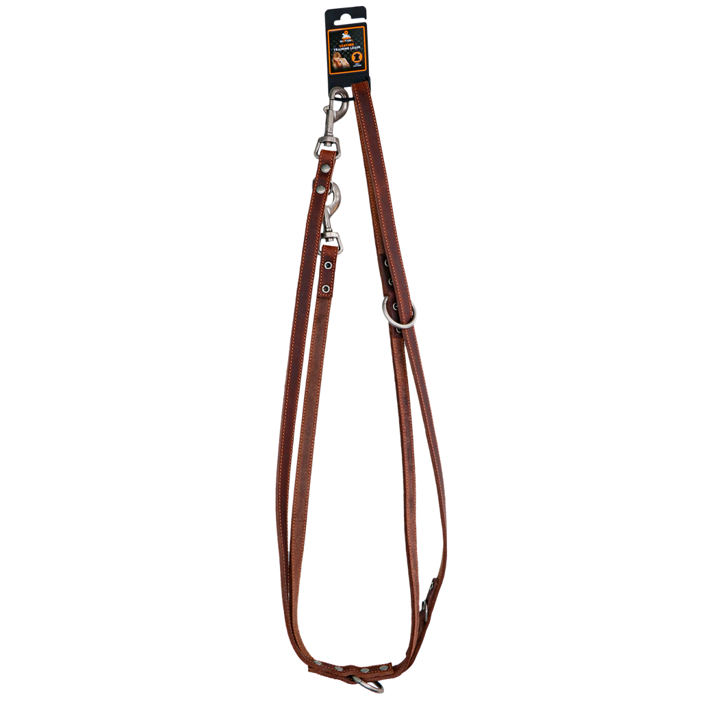 Spotted! Pro Leder Trainingsleine Braun 2 x 250 cm