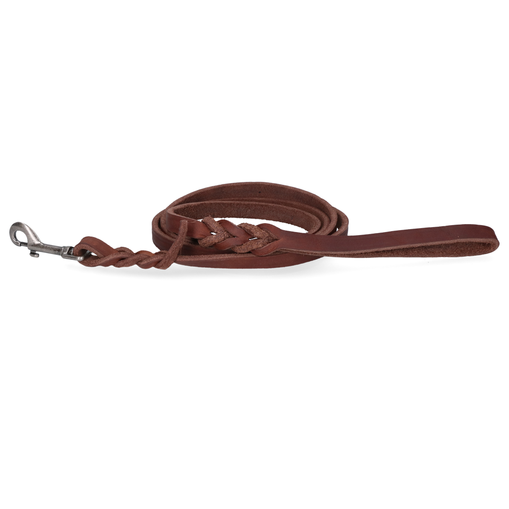 Spotted! Pro Leder Führleine Braun 1,6 x 180 cm (Bolzenhaken)