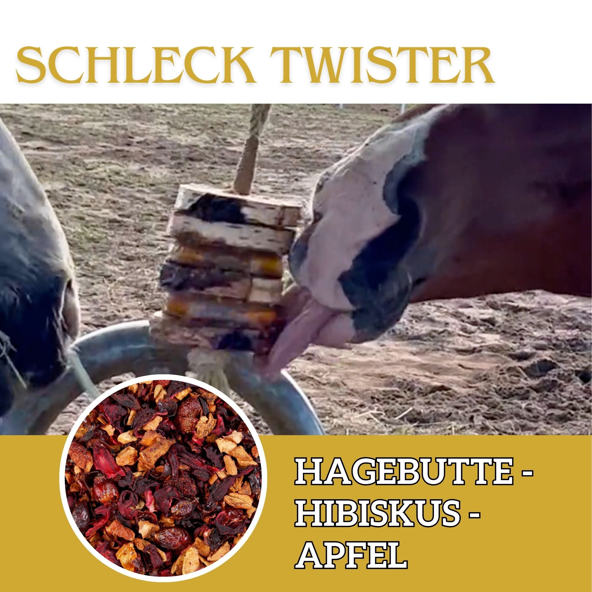 Schleck Twister Spielzeug für Pferde; Set aus Birkenholzhalterung und 2 Schleck Twister Scheiben deiner Wahl - TierVita