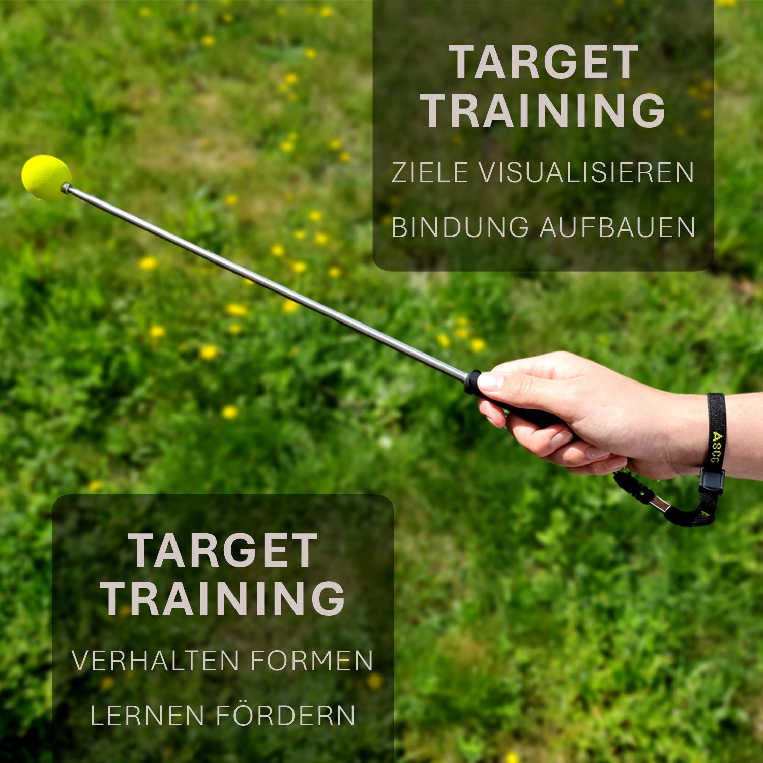 ASCO Target Stick - Target Stab für Hunde Katzen Targettraining - Targetstick ausziehbar mit Softball - Edelstahl Targetstab mit Teleskopfunktion - TierVita