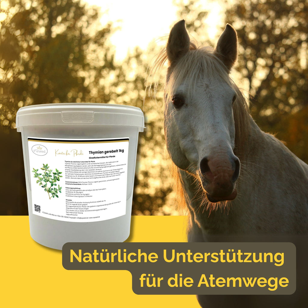 Thymian Pferd 1kg - TierVita