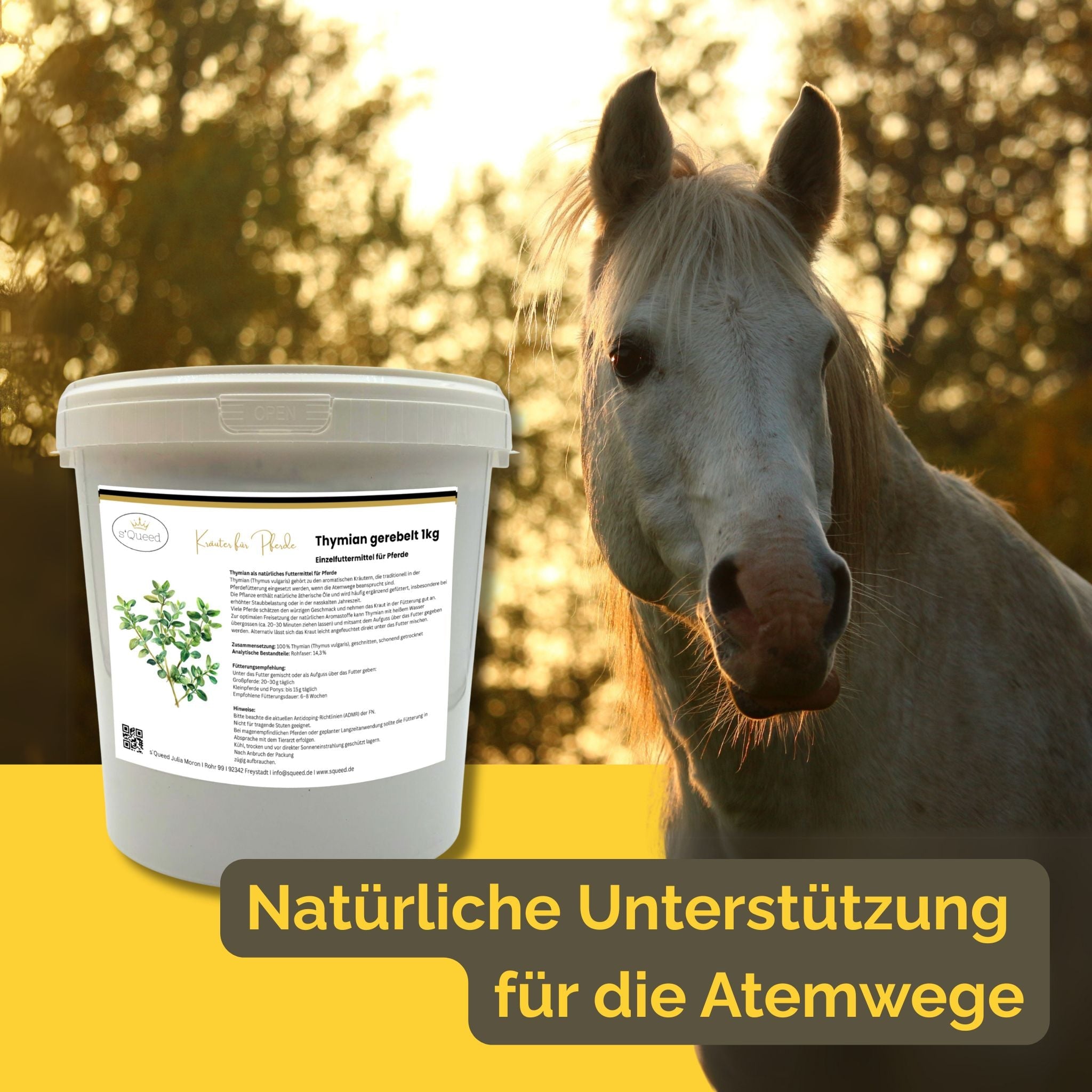 Thymian Pferd 1kg - TierVita