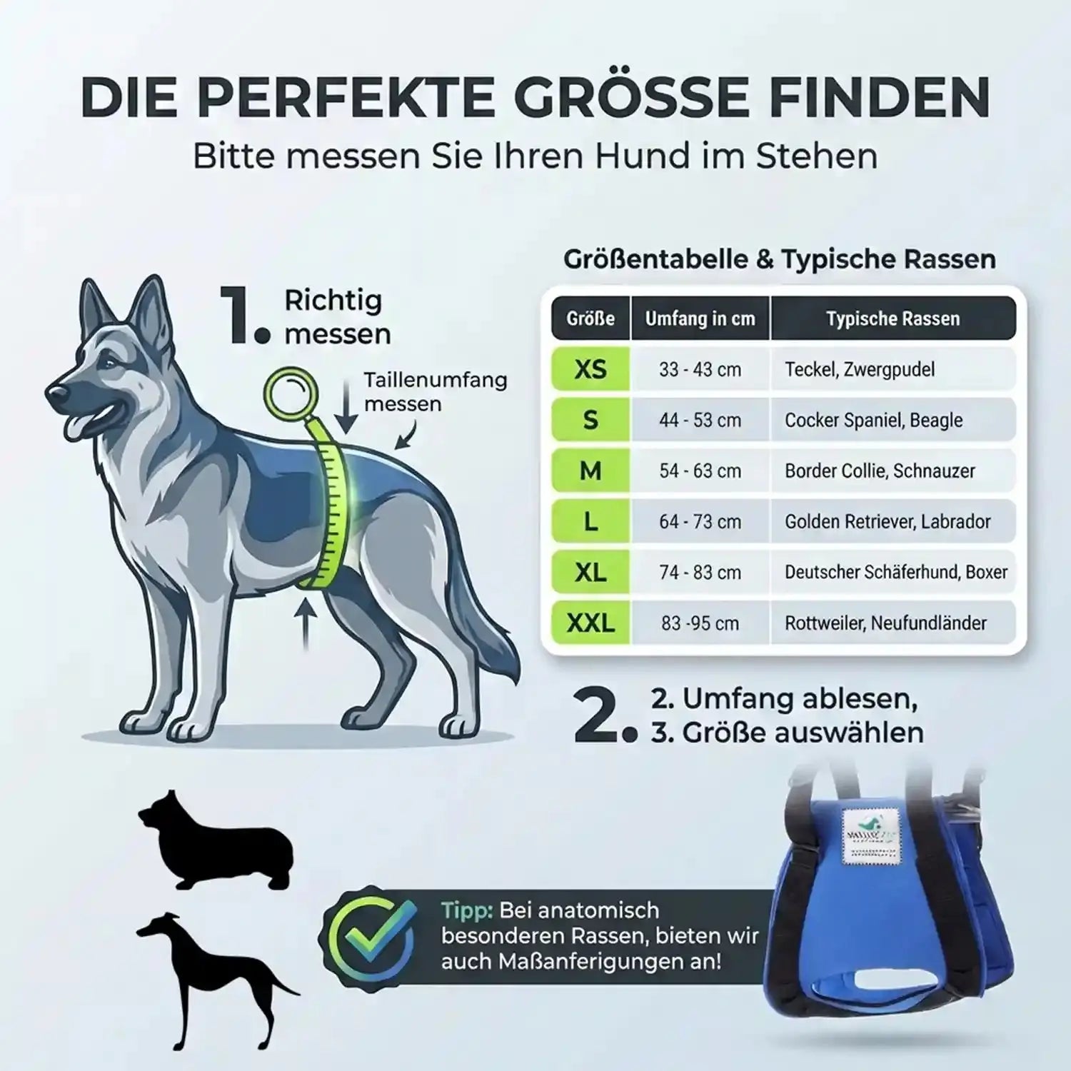 Hunde Tragehilfe hinten