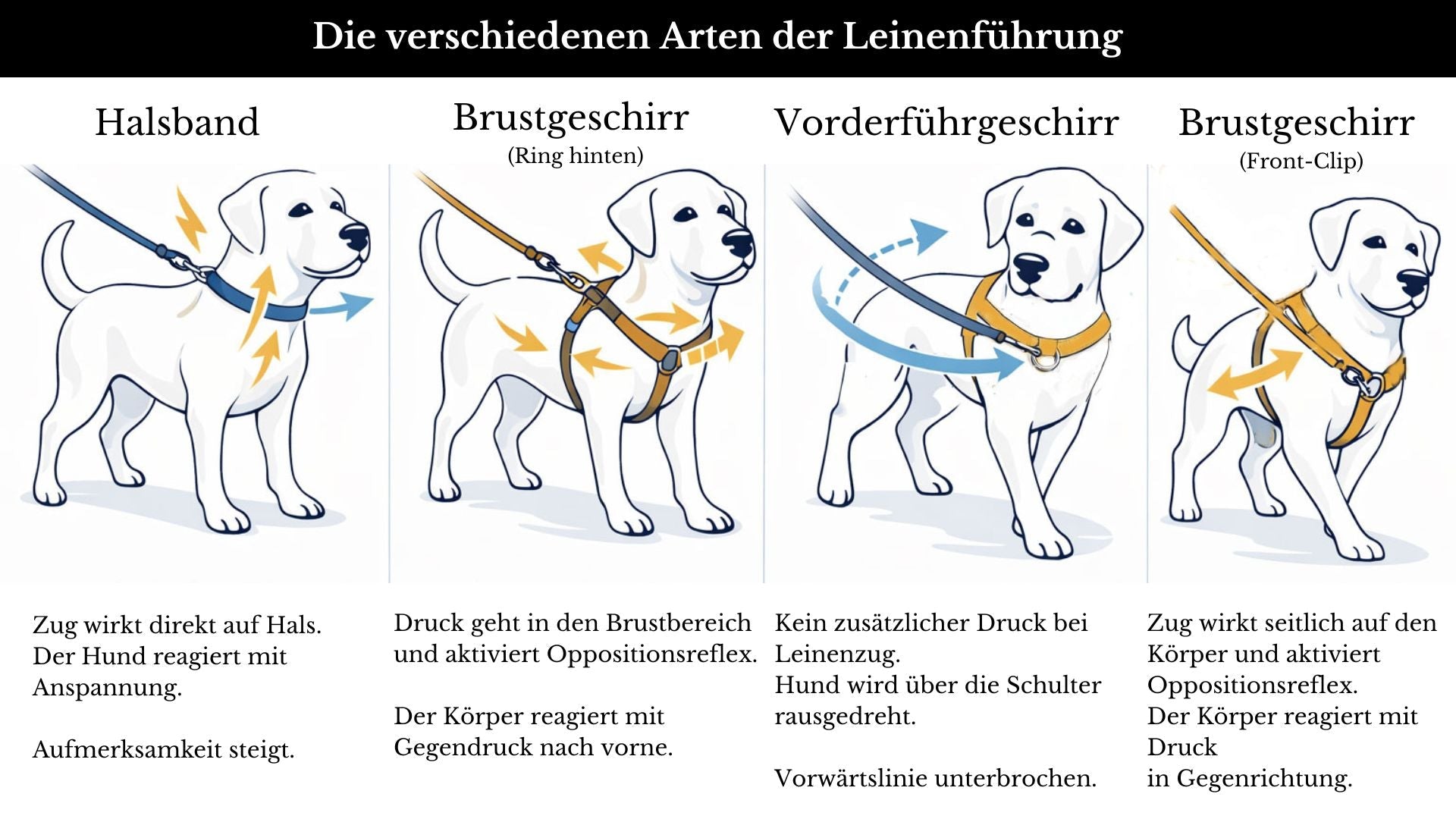 Anti-Stress-Geschirr STURMFREI®, Größe XXS