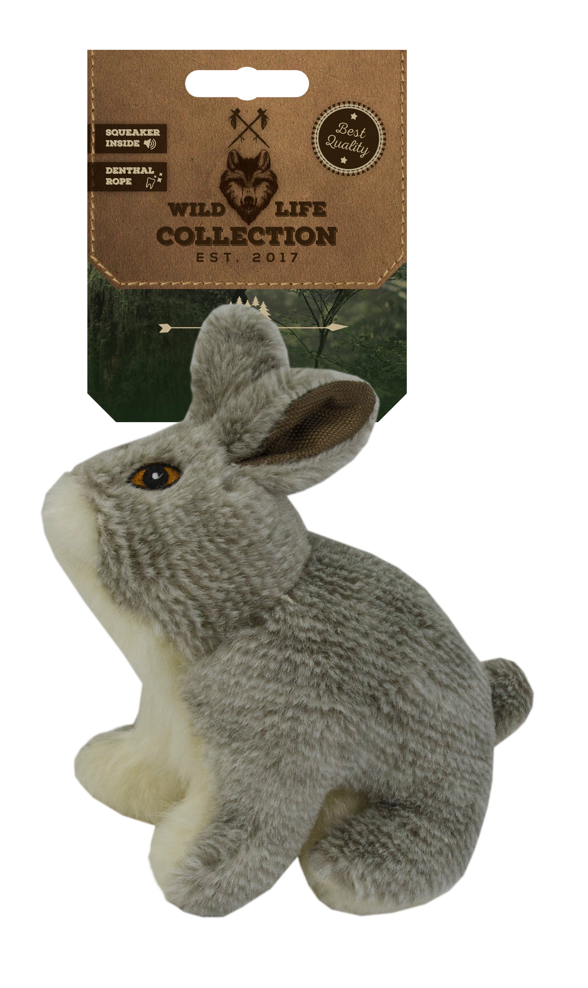 Wild Life Dog Kaninchen