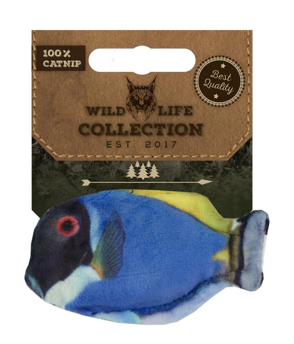 Wild Life Cat Blaue Doktorfisch