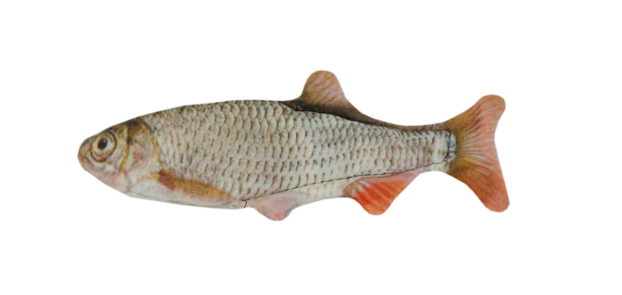 Wild Life Cat rotauge