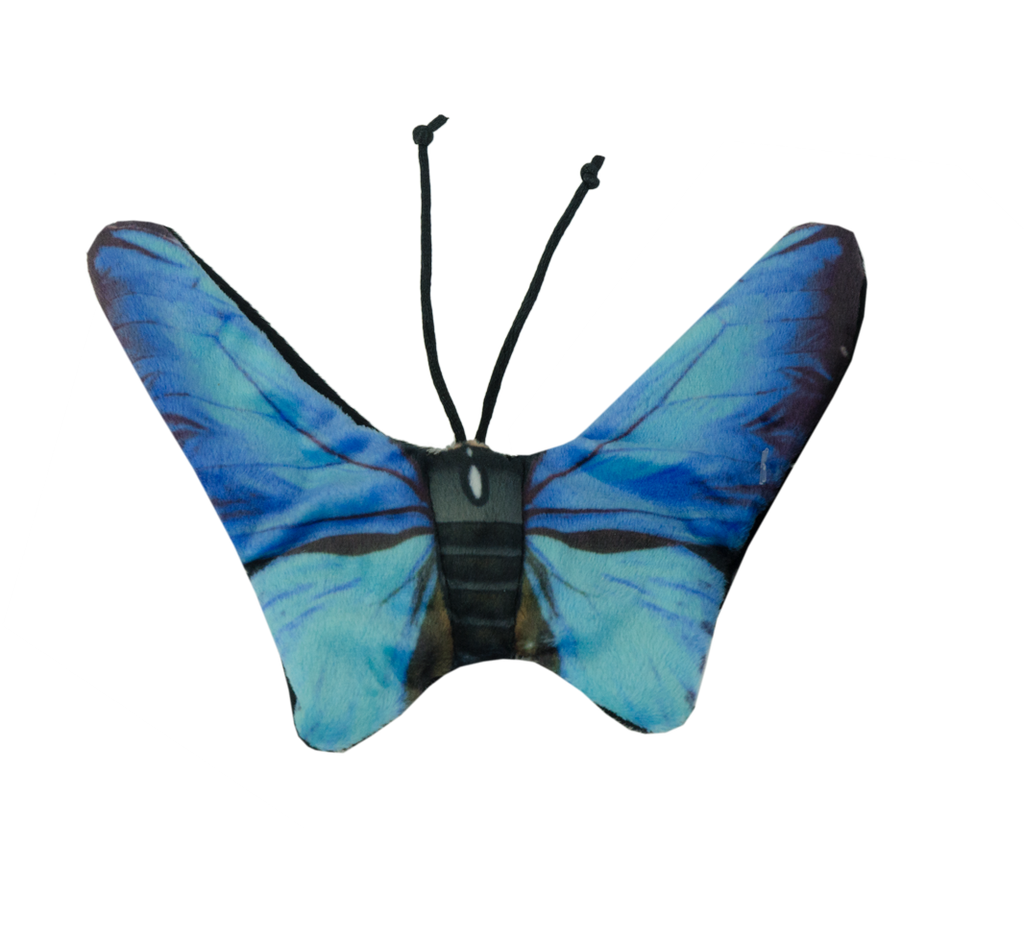 Wild Life Cat Blauer Schmetterling