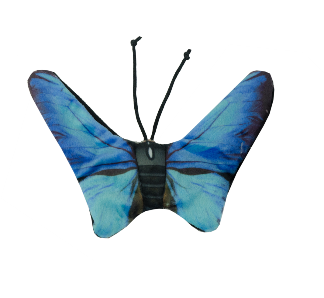 Wild Life Cat Blauer Schmetterling