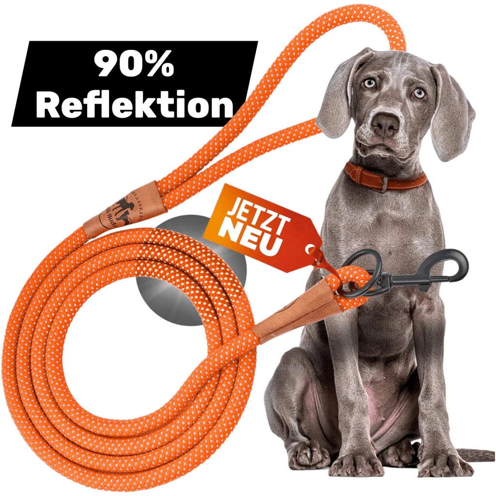Reflektionsleine GLOW stark reflektierend mit Handschlaufe und vegan