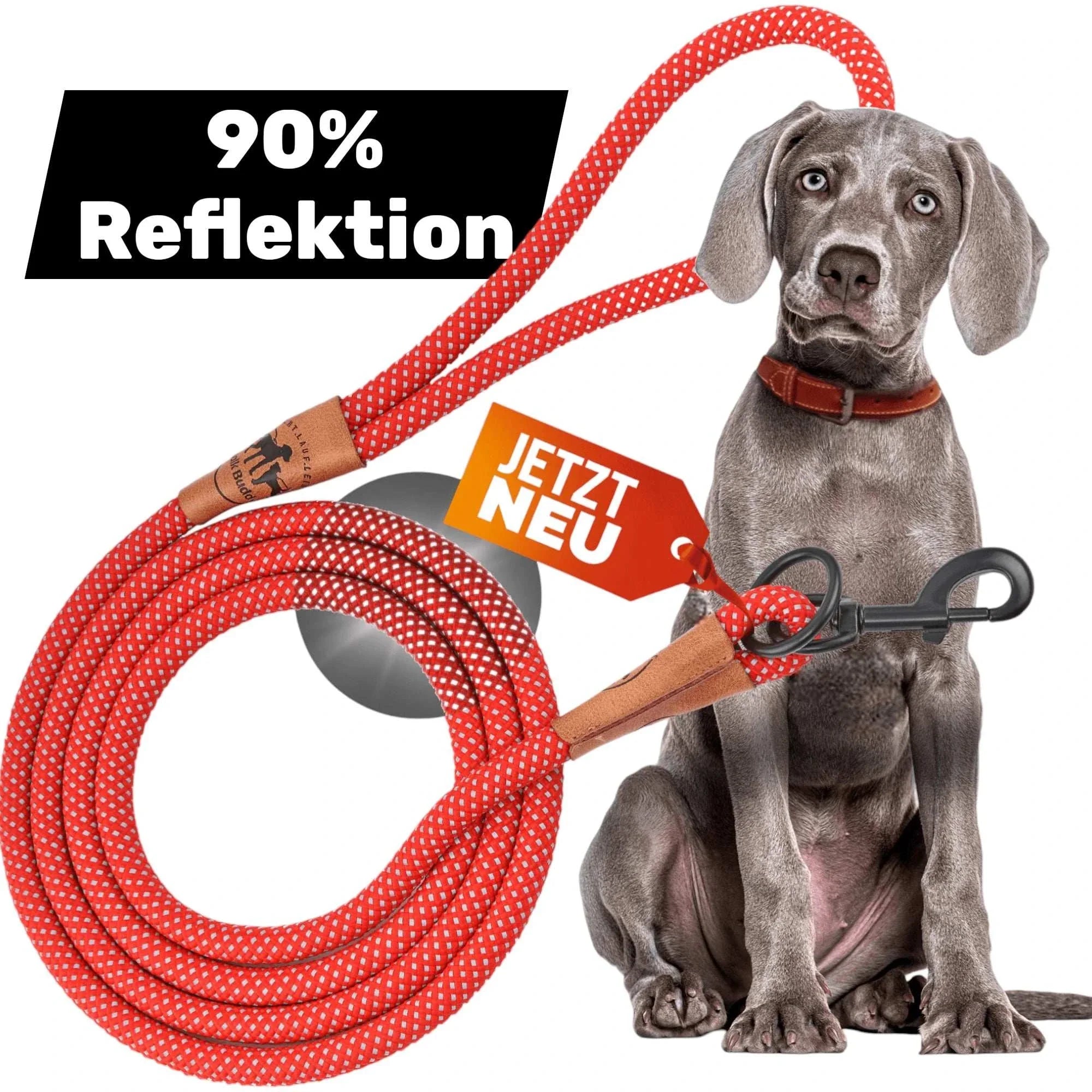 Reflektionsleine GLOW stark reflektierend mit Handschlaufe und vegan