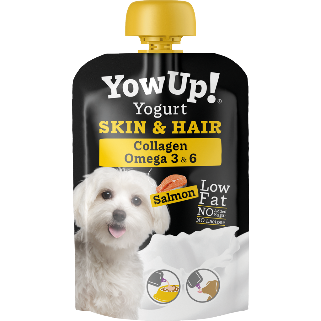 YowUp! Naturjoghurt Hund Lachs – Fell & Haut – 10er Squeeze-Pack