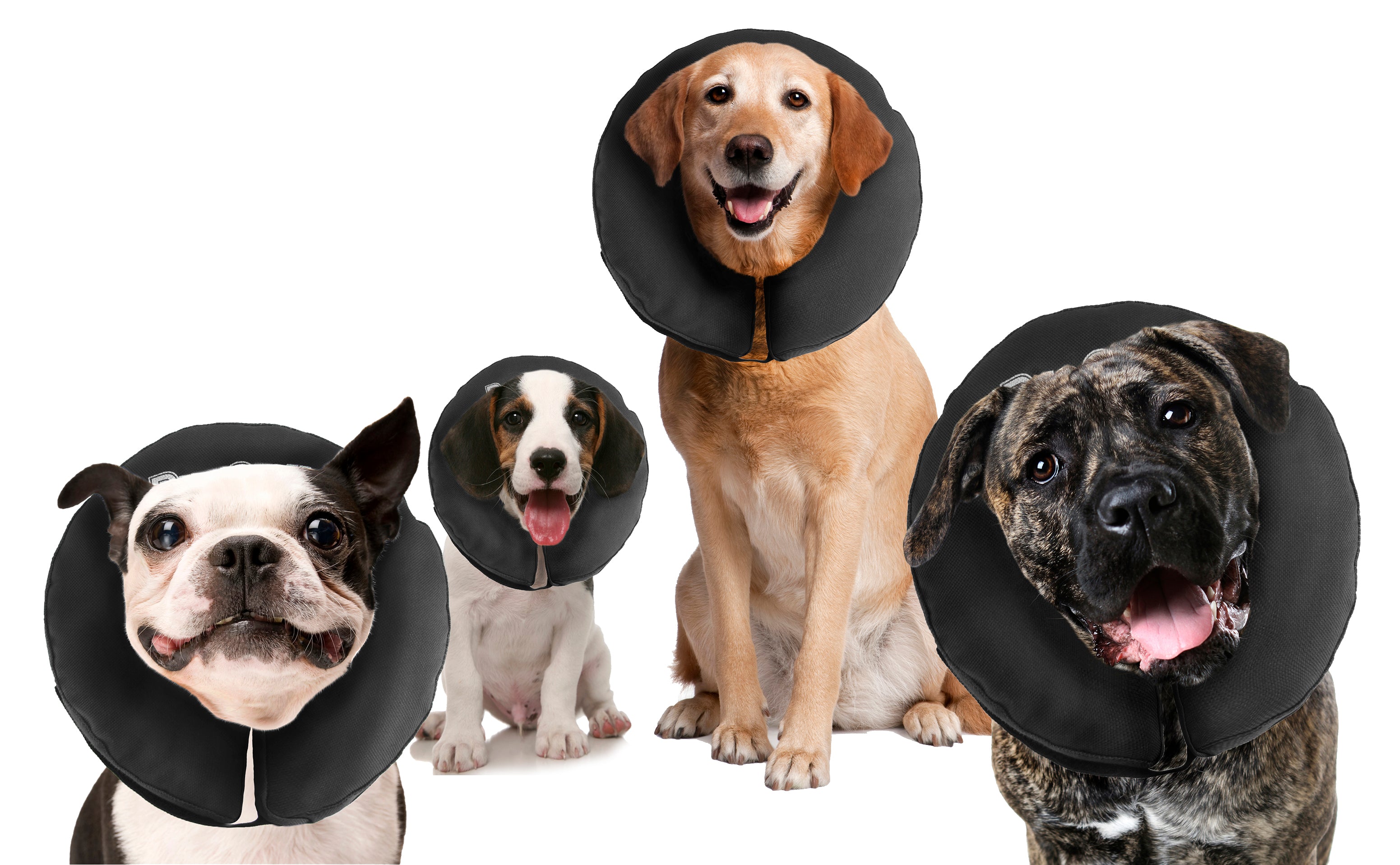Zenpet ProCollar Halskrause Größe M – Sanfte Genesungshilfe für Hunde