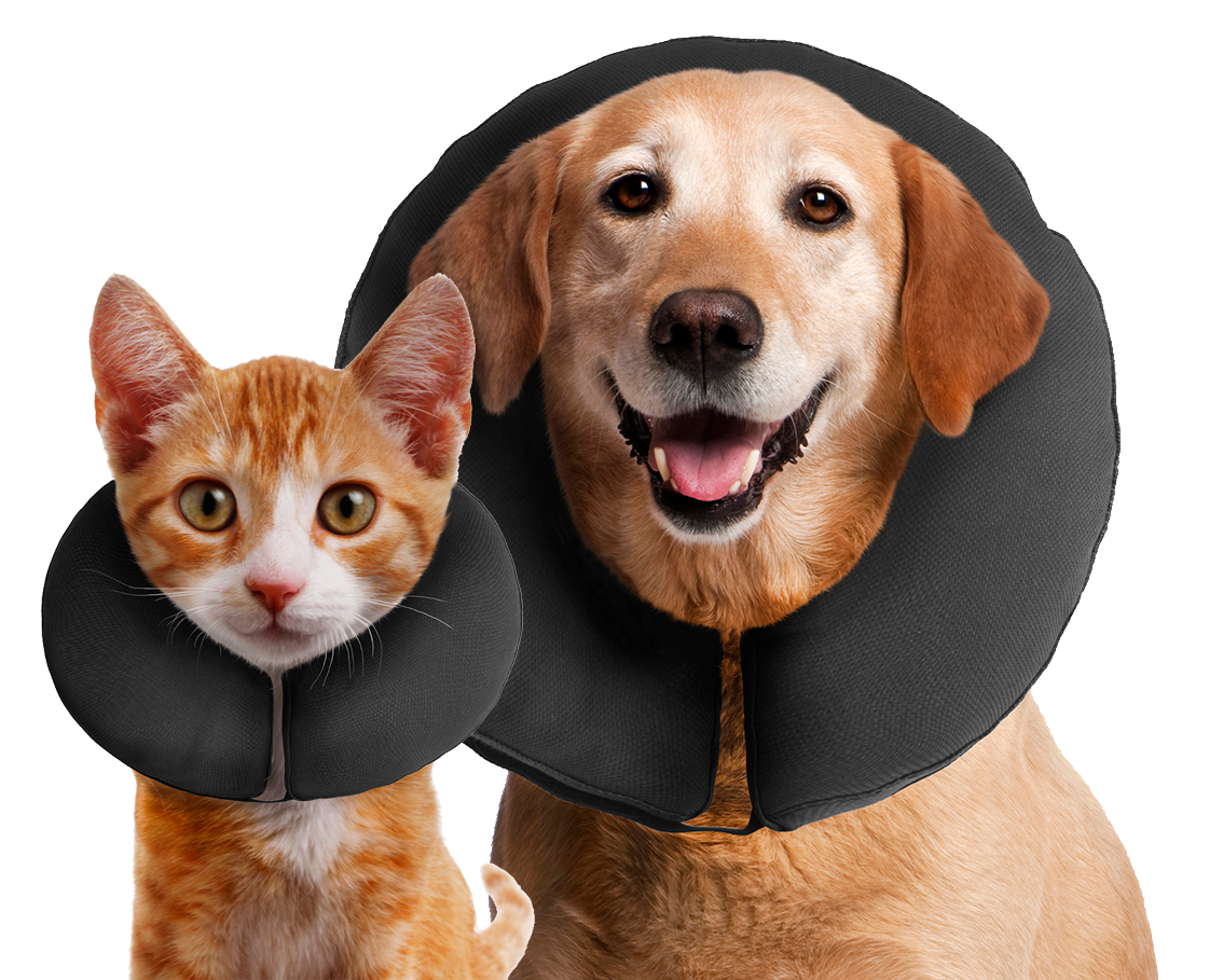 Zenpet ProCollar Halskrause Größe XS – Für kleine Hunde & Katzen