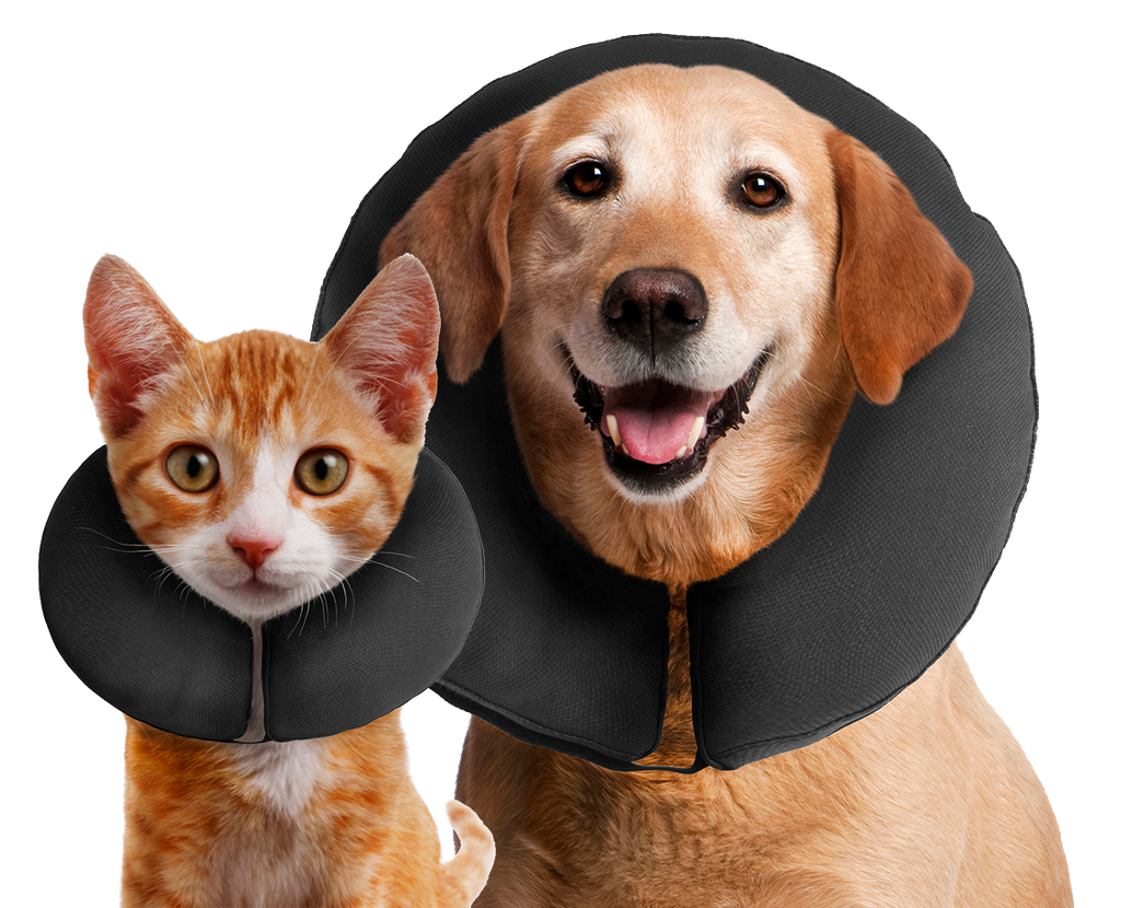 Halskrause ProCollar XXL für Hunde – Zenpet