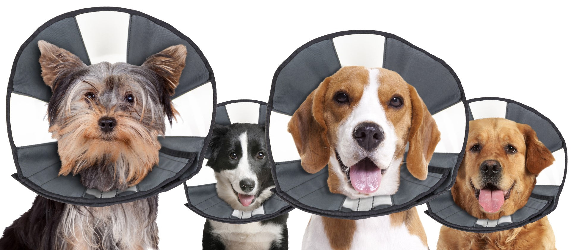 Zenpet ProCone XL Halskrause Hund – Weicher Schutzkragen statt Trichter