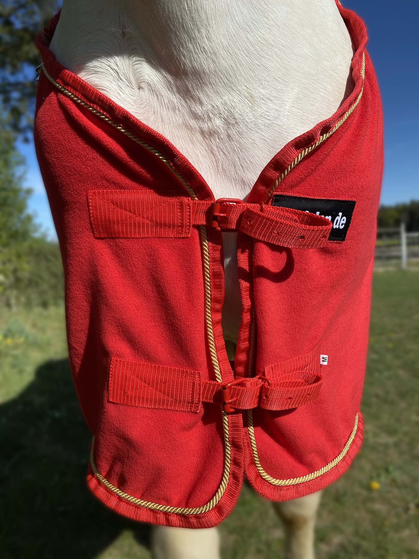 Abschwitzdecke mit Glitzerstreifen, Fleecedecke in rot, Pferdedecke, goldene Kordel,
