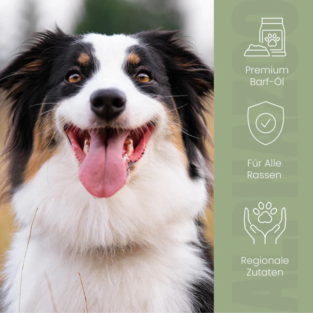 Alpha-Barf Futteröl für Hunde – Lein, Lachs, Nachtkerze & Argan kaltgepresst