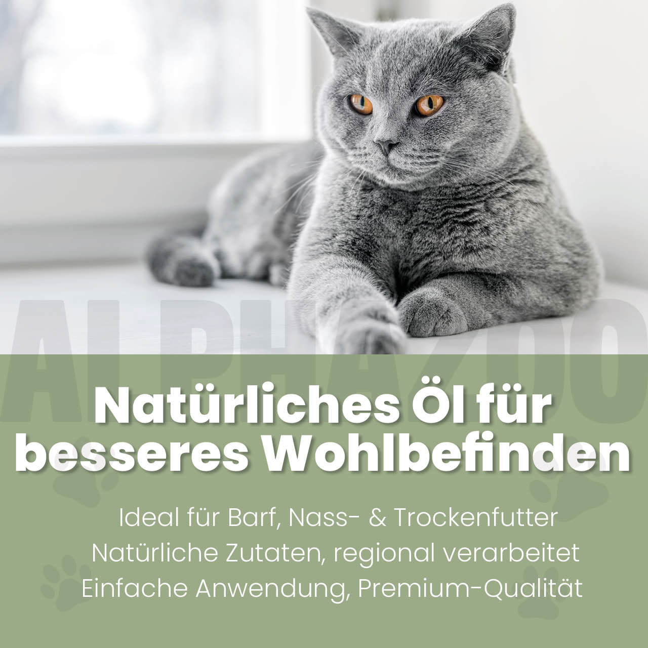 Alpha-Barf Futteröl für Katzen – Lein, Lachs, Nachtkerze & Argan kaltgepresst
