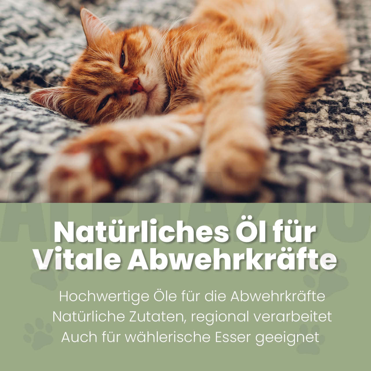 Alpha-Immun Futteröl für Katzen – Lachs, Lein, Nachtkerze & Hagebutte kaltgepresst