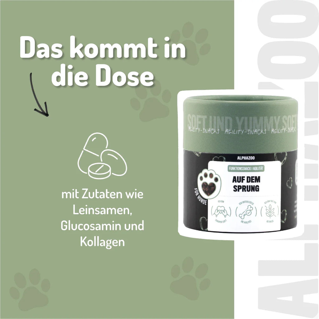 Auf Dem Sprung – Gelenksnack für Hunde mit Glucosamin, Chondroitin & MSM