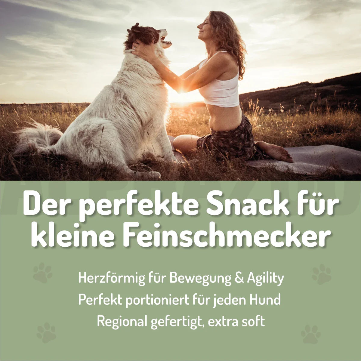 Auf Dem Sprung – Gelenksnack für Hunde mit Glucosamin, Chondroitin & MSM