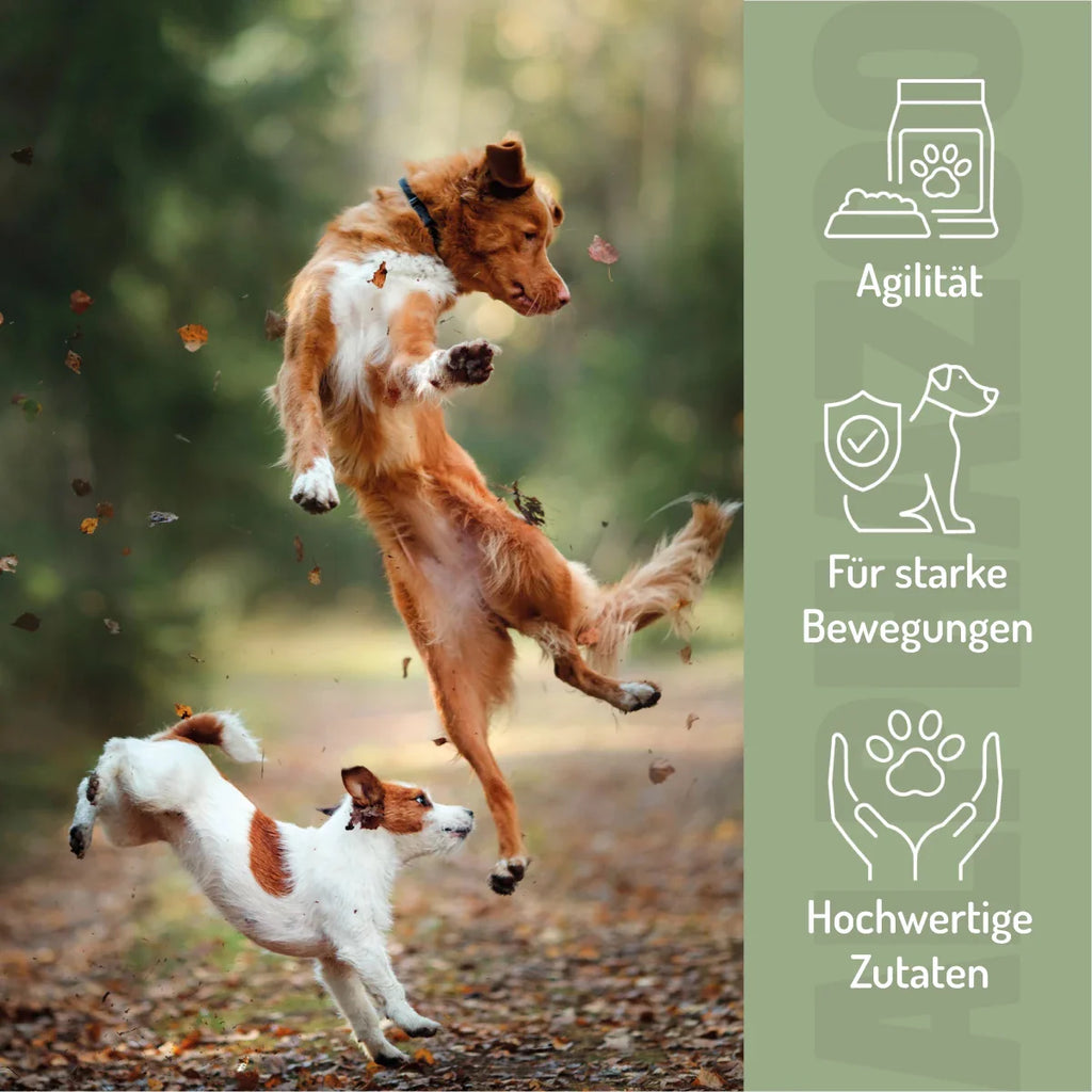 Auf Dem Sprung – Gelenksnack für Hunde mit Glucosamin, Chondroitin & MSM