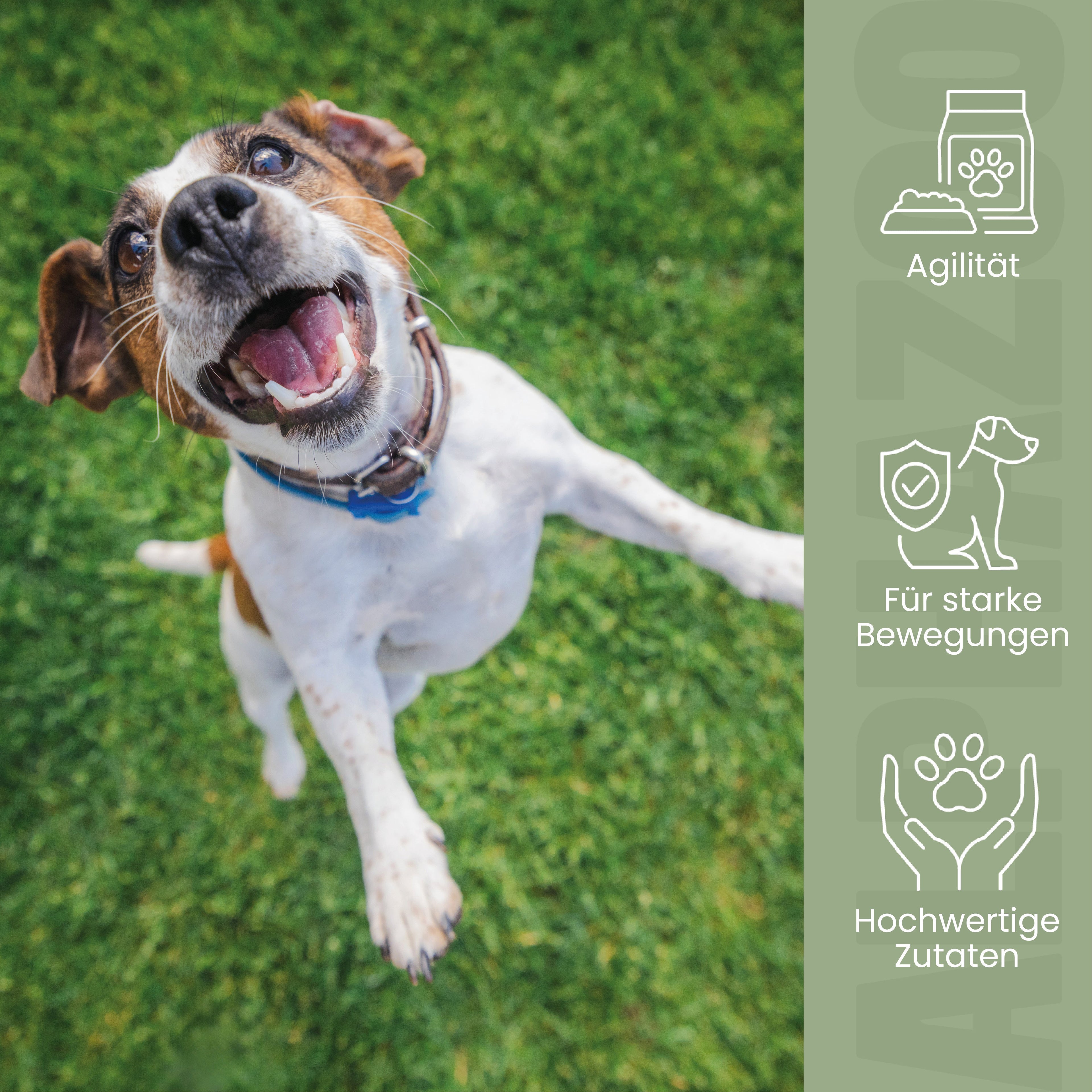 Auf Dem Sprung – Gelenksnack für Hunde mit Glucosamin, Chondroitin & MSM