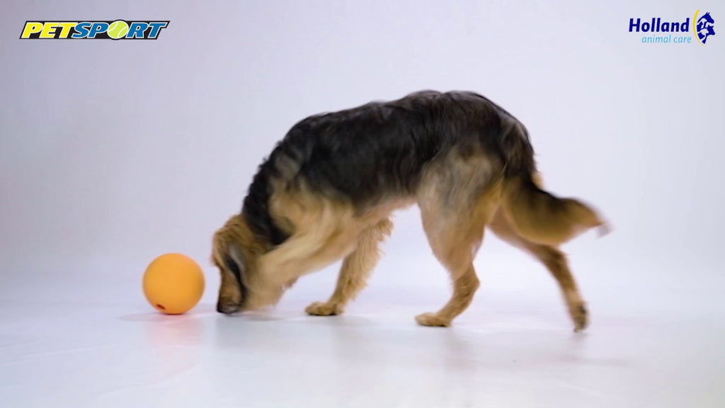 Petsport Kingpin Kibbler Schwarz