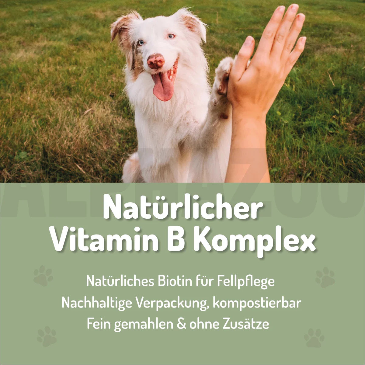 Bierhefe Pulver für Hunde & Katzen – natürliche B-Vitamine & Biotin für Fell & Haut