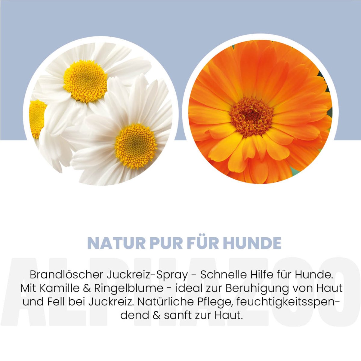 Brandlöscher Anti-Juckreiz Spray für Hunde – pflanzlich mit Kamille & Calendula