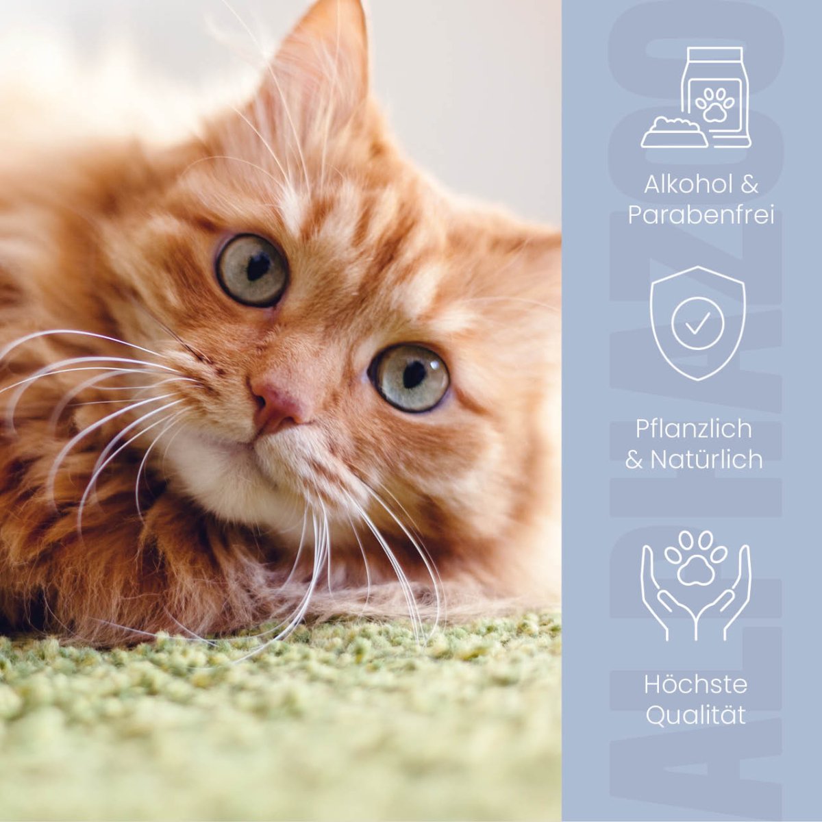 Brandlöscher Anti-Juckreiz Spray für Katzen – pflanzlich mit Kamille & Calendula