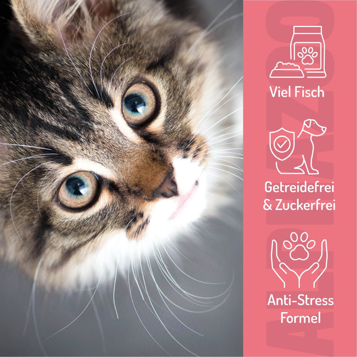 Butter Bei Die Fische! – Softsnack für Katzen, Seelachs & Forelle, getreidefrei