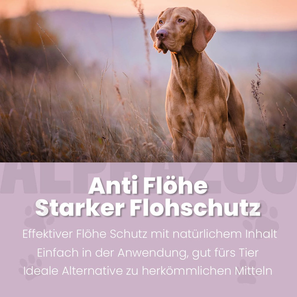 ByeByeVloh Flohspray für Hunde – pflanzlich mit Geraniol, Lavendel & Eukalyptus