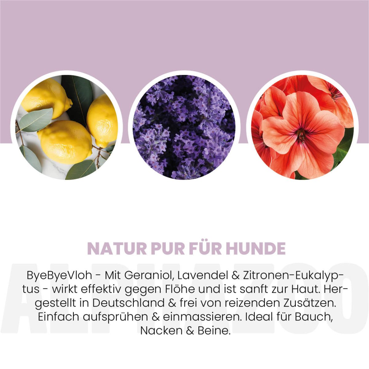 ByeByeVloh Flohspray für Hunde – pflanzlich mit Geraniol, Lavendel & Eukalyptus