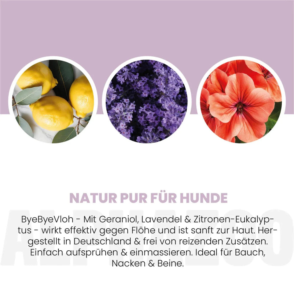 ByeByeVloh Spot-On für Hunde – pflanzlich mit Geraniol & Zitronen-Eukalyptus