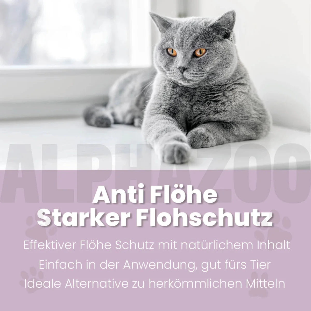 ByeByeVloh Spot-On für Katzen – pflanzlich mit Geraniol & Zitronen-Eukalyptus