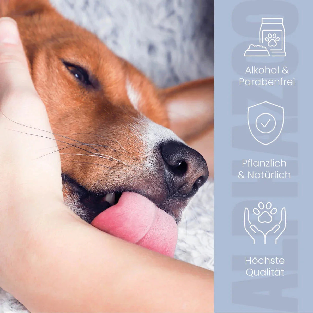 Coco Loco Fellspray für Hunde – mit Sheabutter, Aloe Vera & Panthenol, silikonfrei