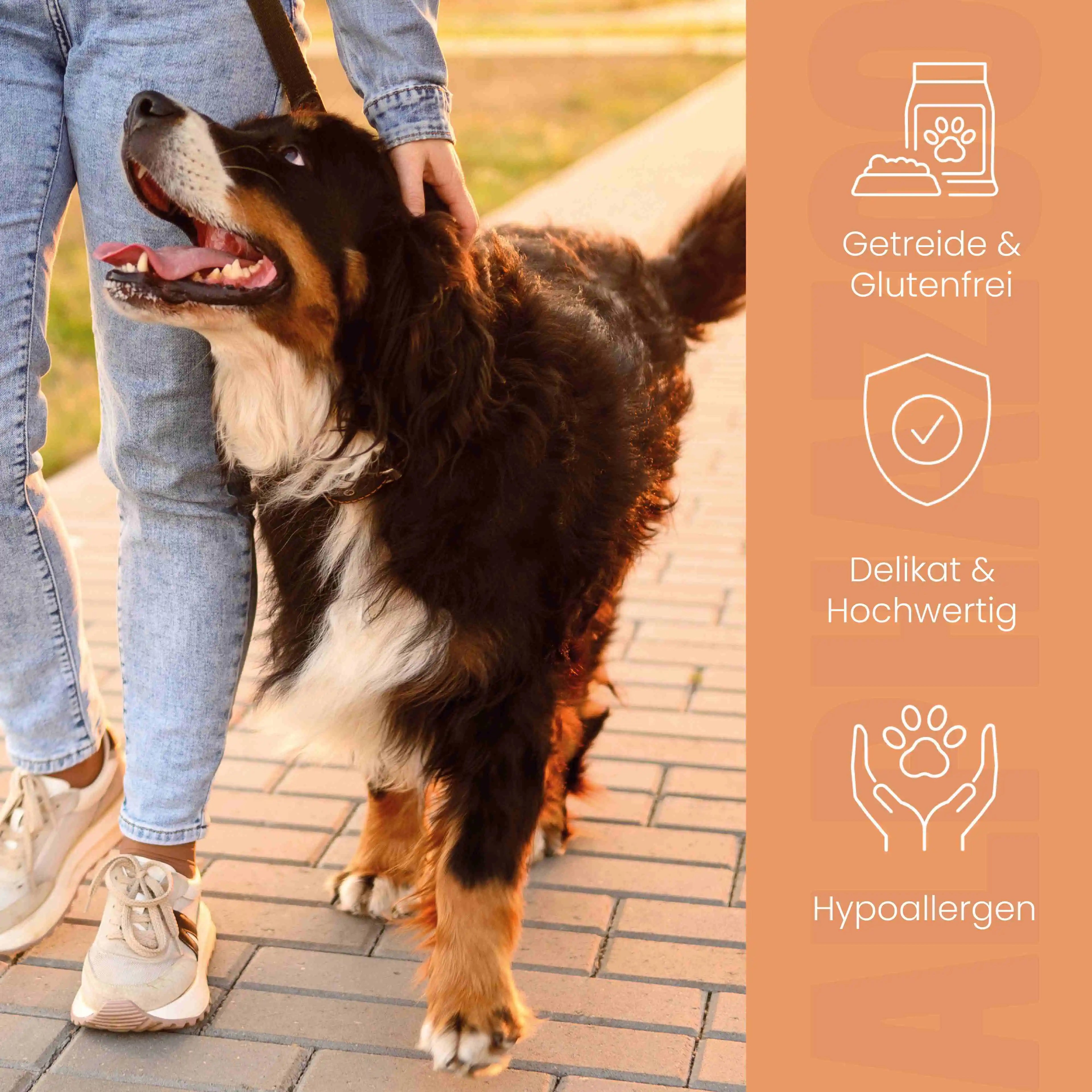 Monoprotein Huhn Nassfutter für Hunde – 60% Fleisch, mit Möhren, Birne, Hagebutte & Hanföl