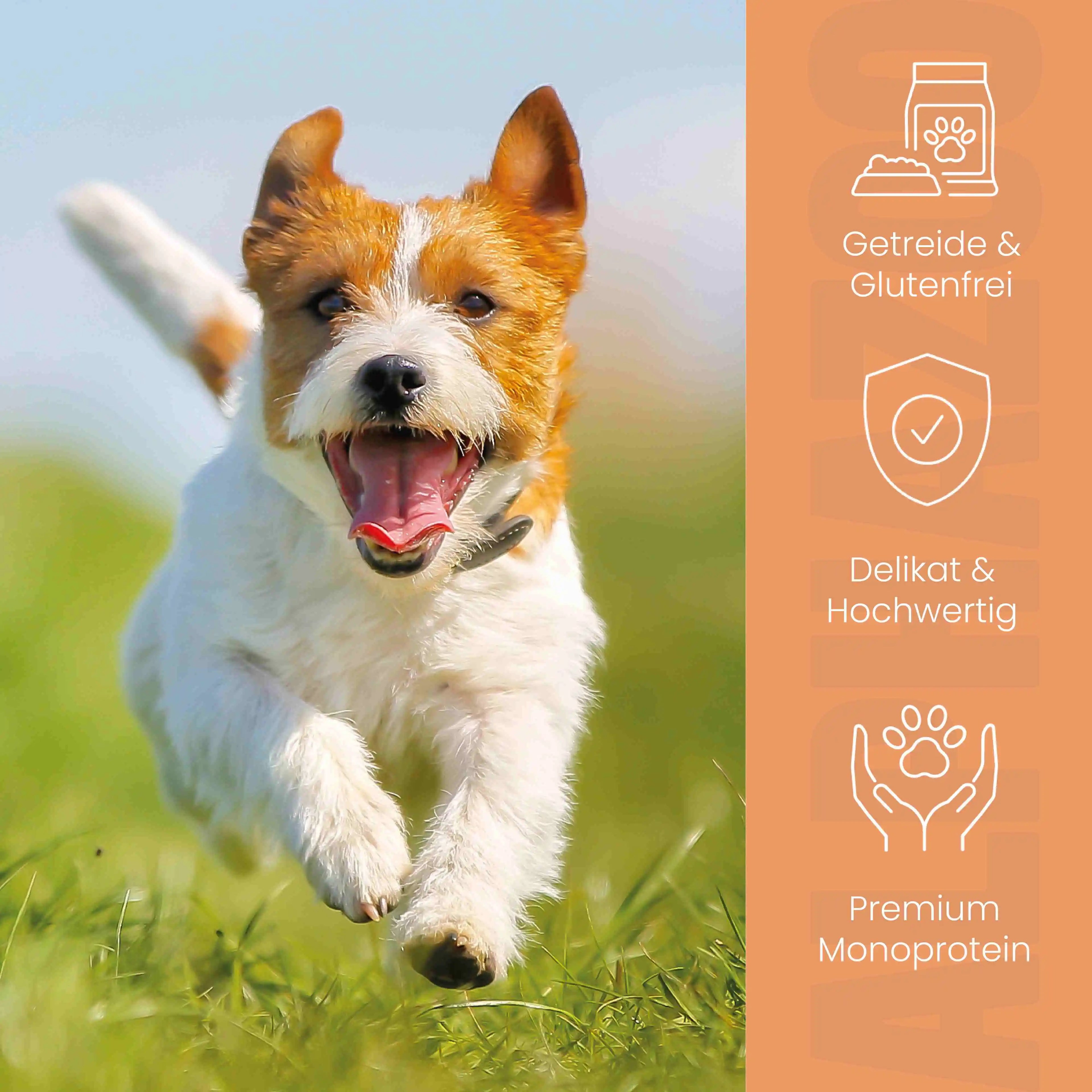 Kaninchen + Kalb Nassfutter für Senior Hunde – 50% Fleisch, leicht verdaulich, mit Hanföl