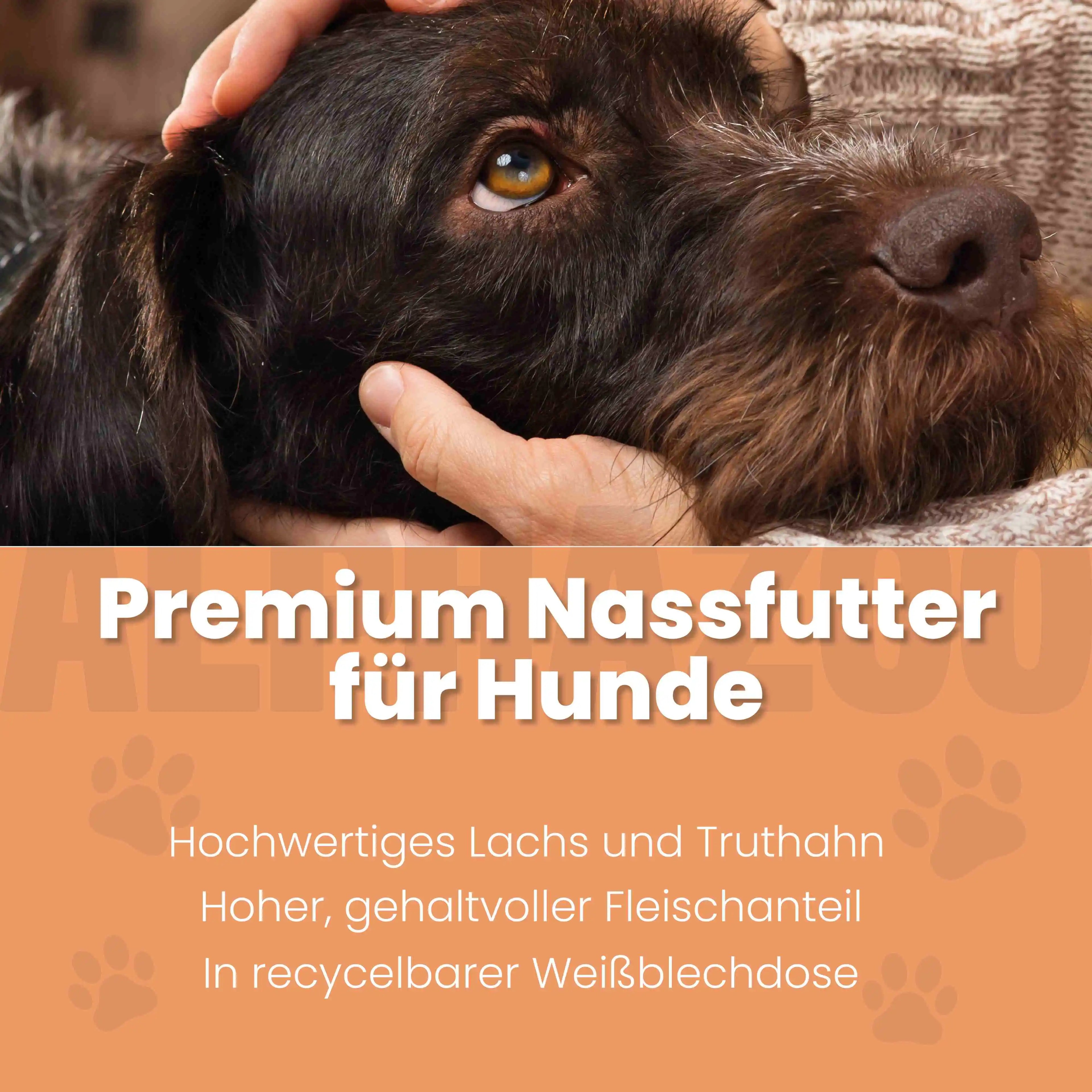 Lachs + Truthahn Nassfutter für Hunde – 60% Fleisch & Fisch, mit Omega-3, Pfirsich & Hanföl