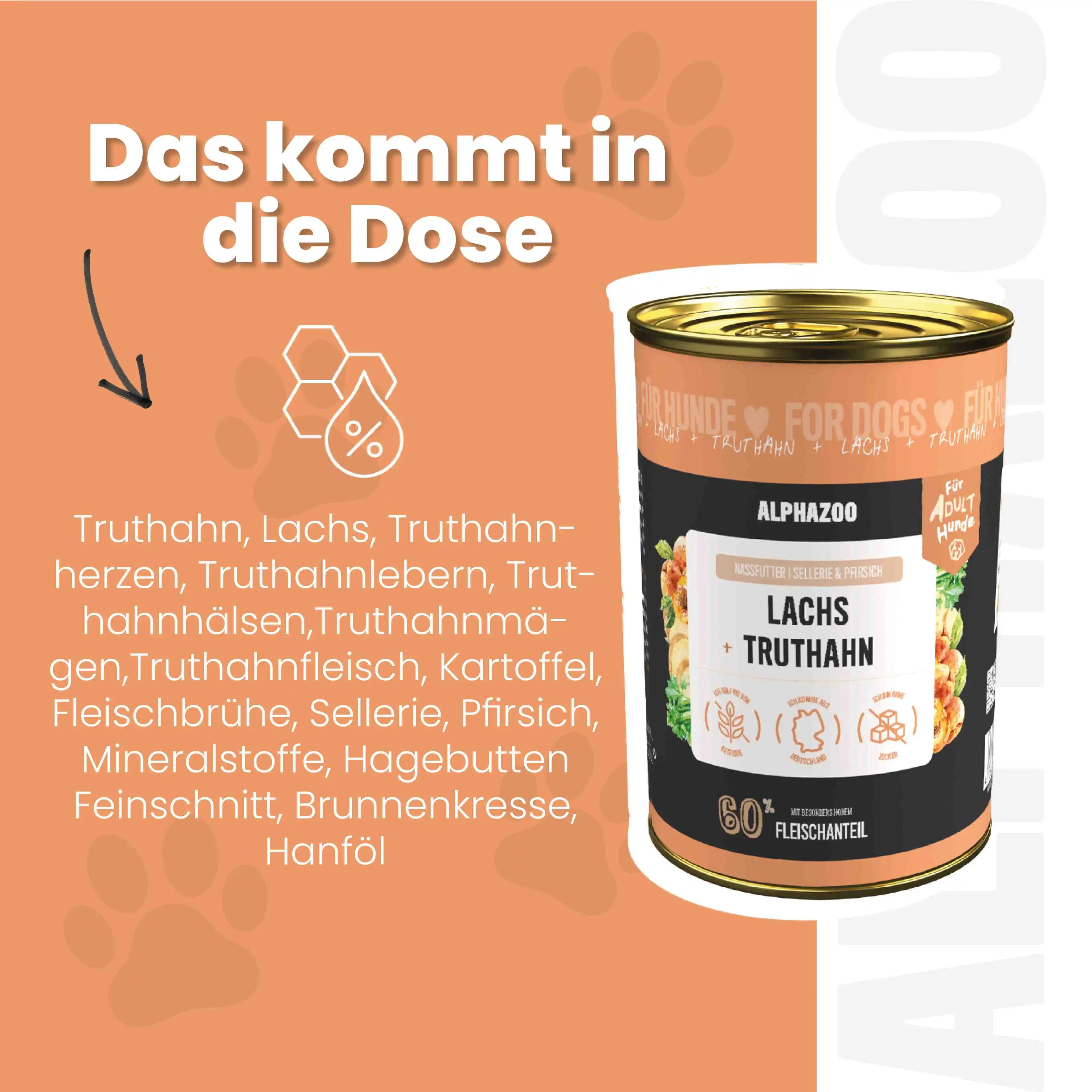 Lachs + Truthahn Nassfutter für Hunde – 60% Fleisch & Fisch, mit Omega-3, Pfirsich & Hanföl