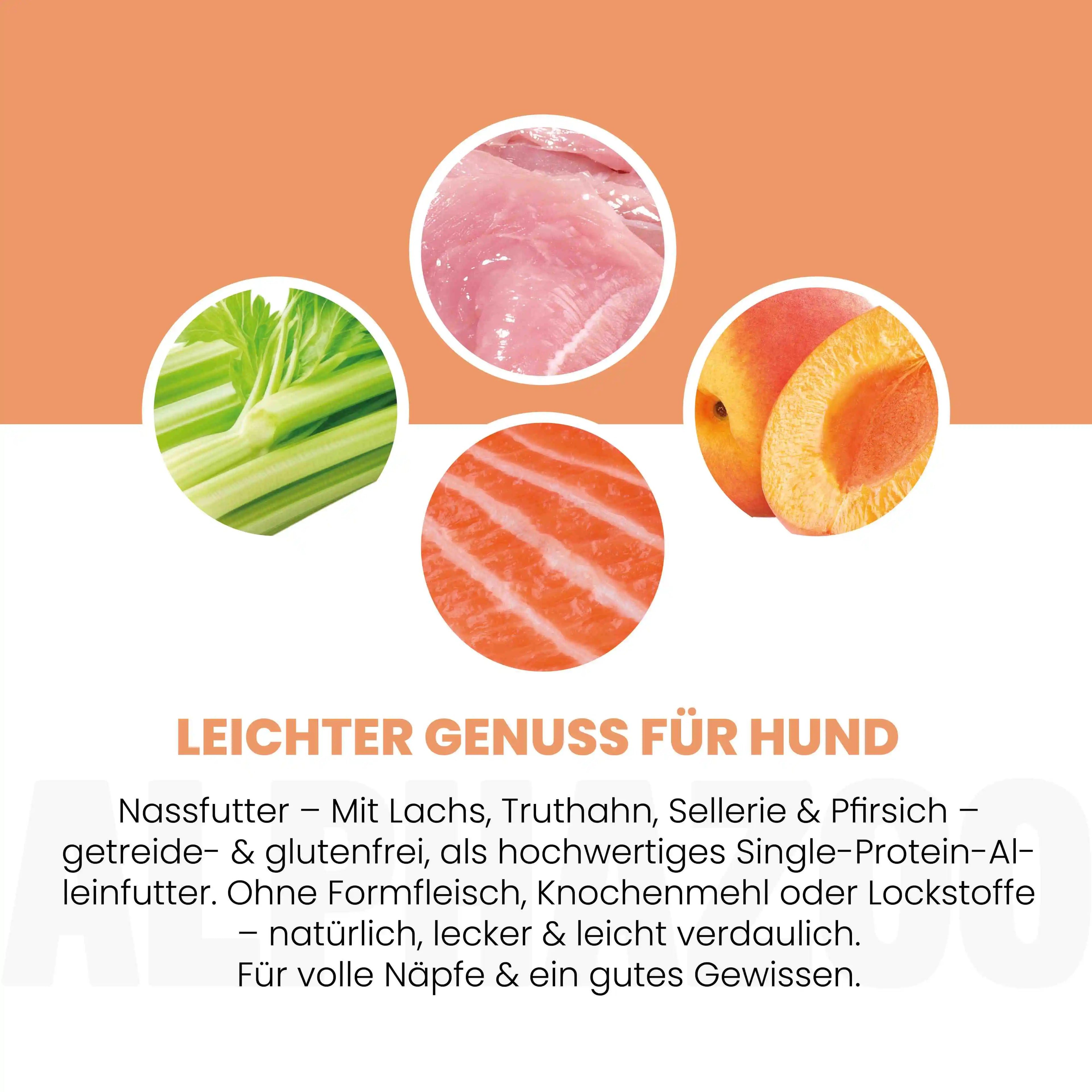 Lachs + Truthahn Nassfutter für Hunde – 60% Fleisch & Fisch, mit Omega-3, Pfirsich & Hanföl