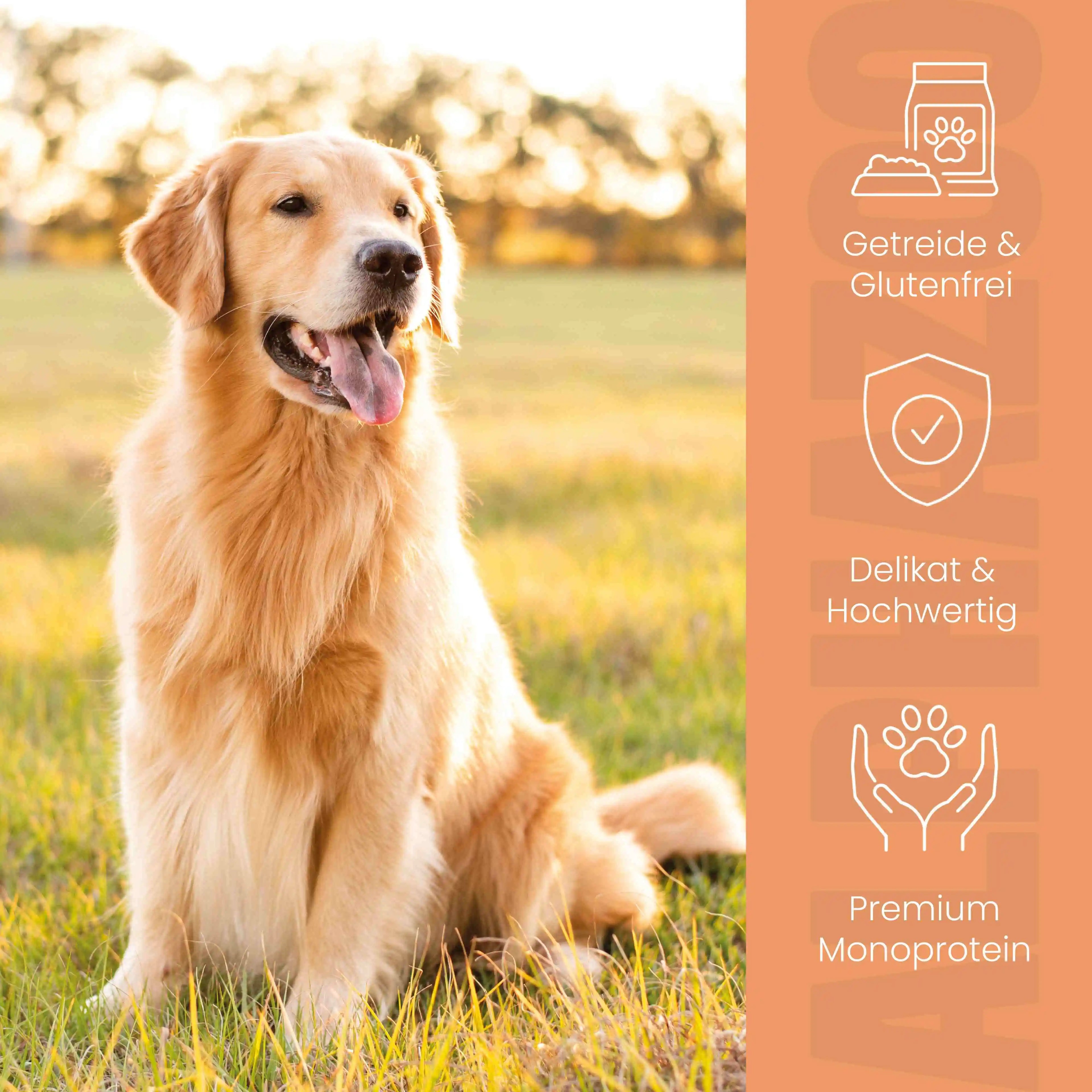 Wild + Rind Nassfutter für Hunde – 60% Fleisch, mit Süßkartoffel, Spinat & Cranberries