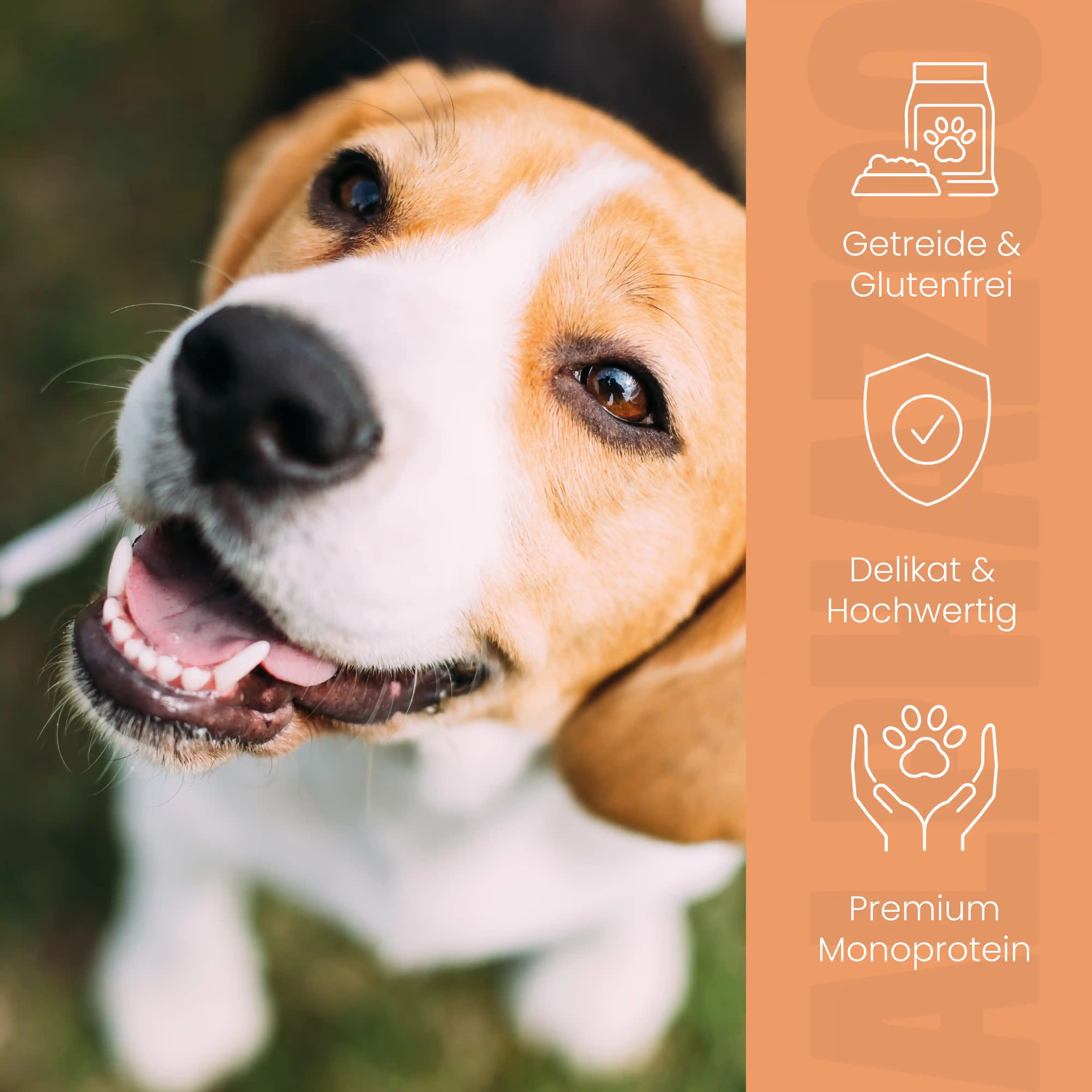 Probierschmaus Hund – 6 Sorten Nassfutter, Mono- & Duoprotein, getreidefrei